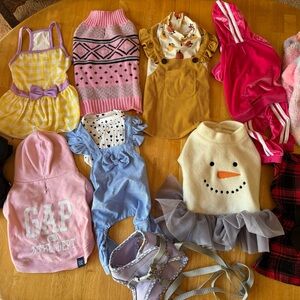 Puppy/Small dog clothes.